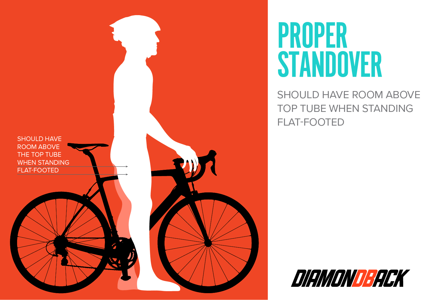 Find Your Perfect Fit | Diamondback Bikes | Ride Diamondback ...