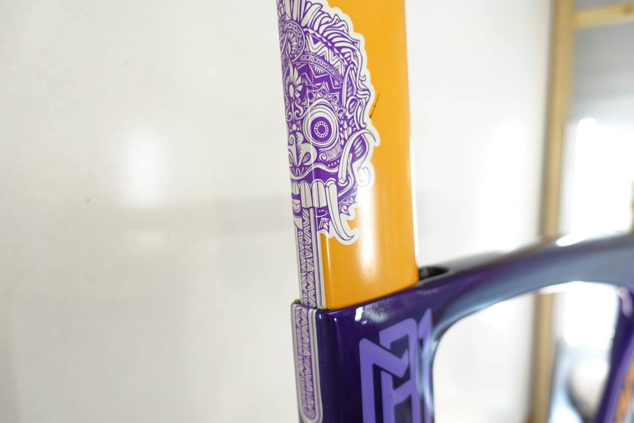 rachel mcbride's purple demon serios bike